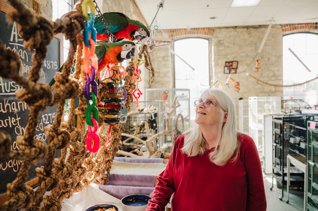 The owner of Bird is the Word in Batavia Illinois admires her parrots in her specialty bird shop. 